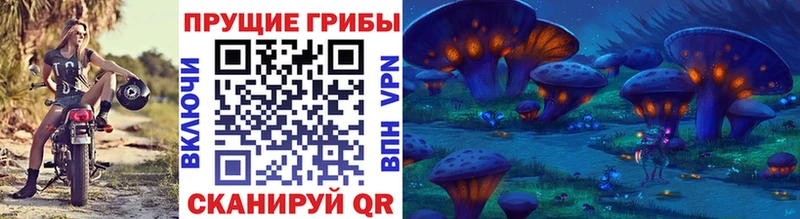 Псилоцибиновые грибы MAGIC MUSHROOMS  Сосновоборск 